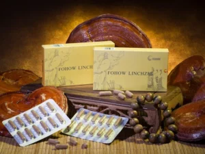 Fohow Linchzhi